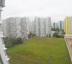 Blk 619D Punggol Drive (Punggol), HDB 4 Rooms #153039392